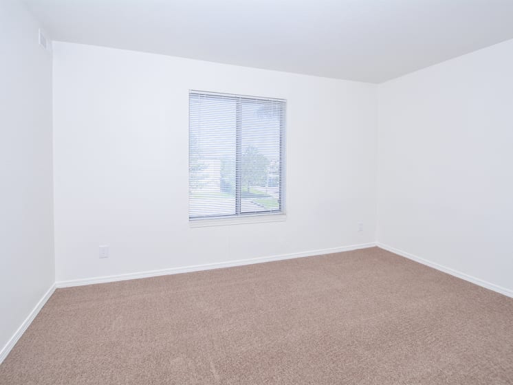 Large Bedroom Windows